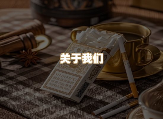 关于蓝帝网